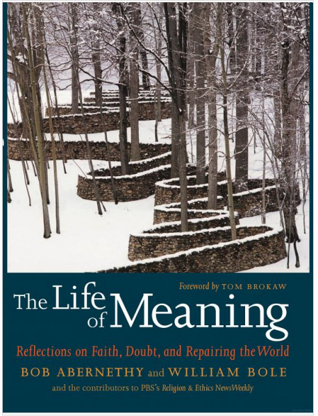 What Is A Life Of Meaning